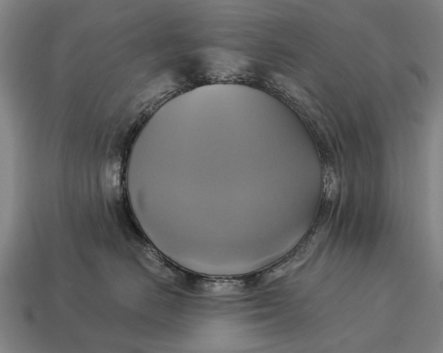 X0000115090670200911101525