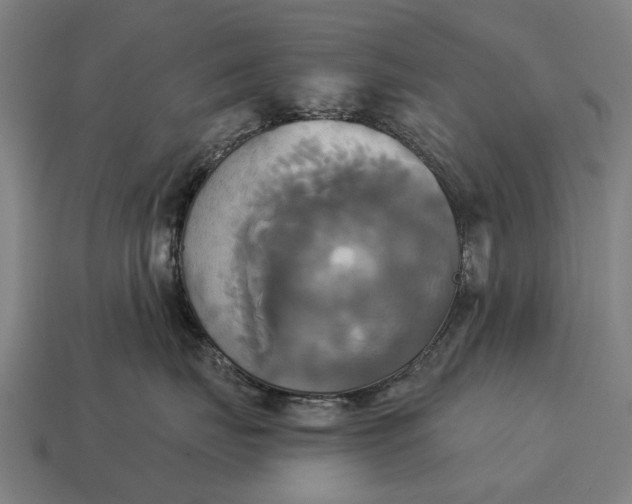 X0000115090671200911101525