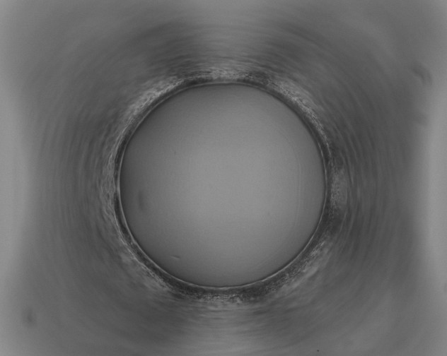 X0000115090673200911101524