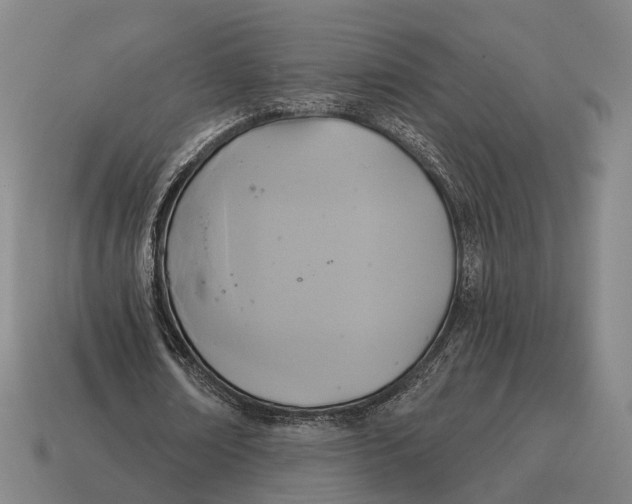 X0000115090674200911101524