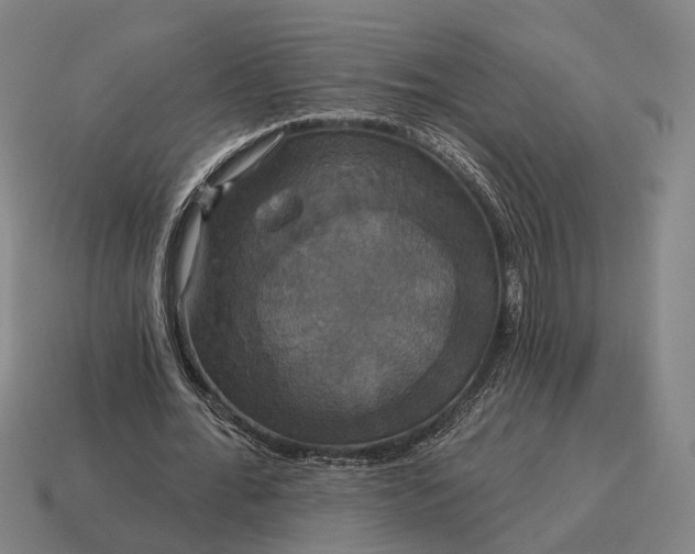 X0000115090676200911101524