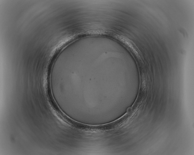 X0000115090677200911101524