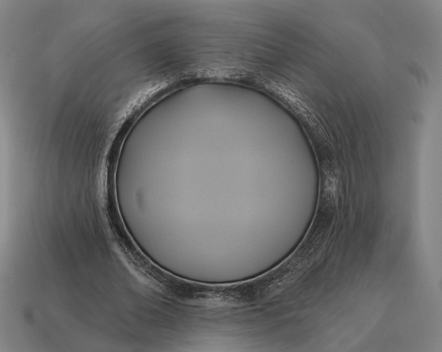 X0000115090678200911101524