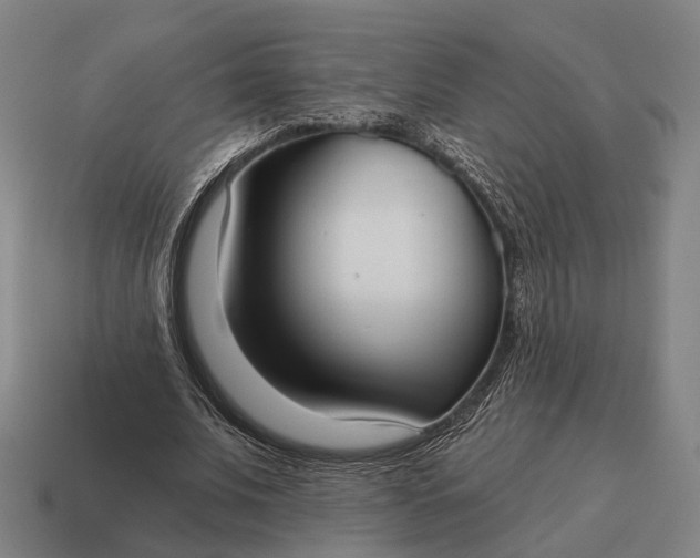 X0000115090679200911101524