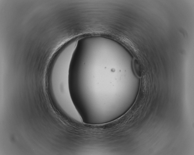 X0000115090680200911101524