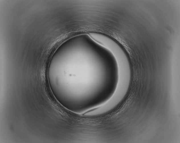 X0000115090681200911101524