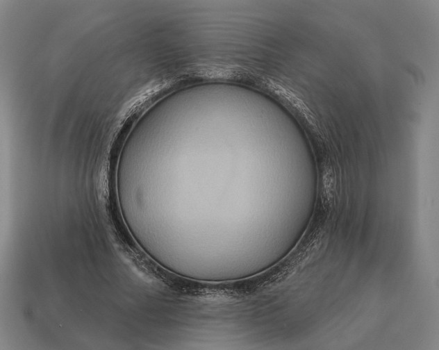 X0000115090682200911101524