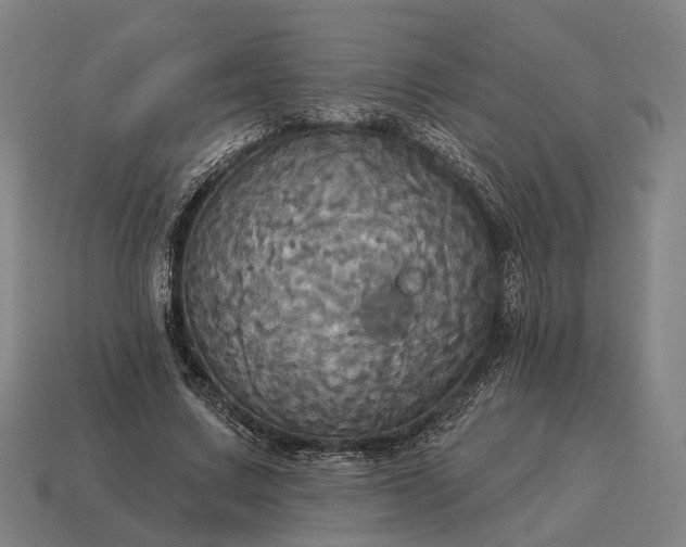 X0000115090683200911101524