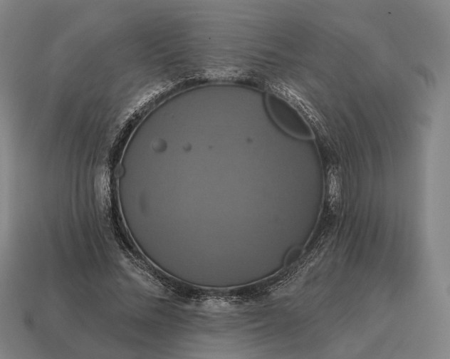 X0000115090684200911101524