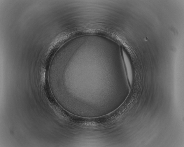 X0000115090685200911101524