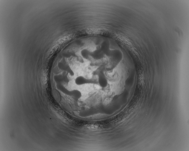 X0000115090687200911101524