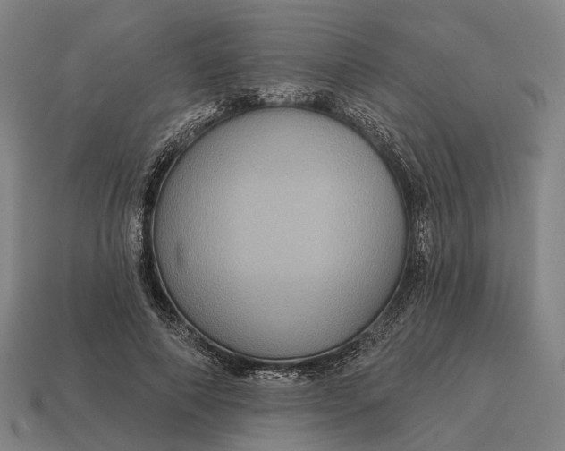 X0000115090690200911101524