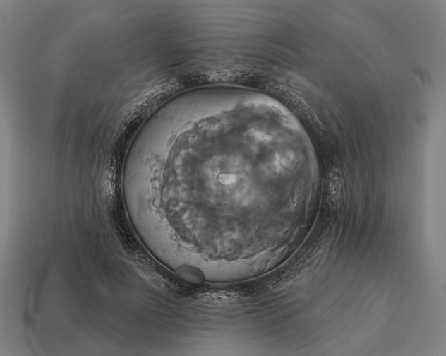 X0000115090691200911101524