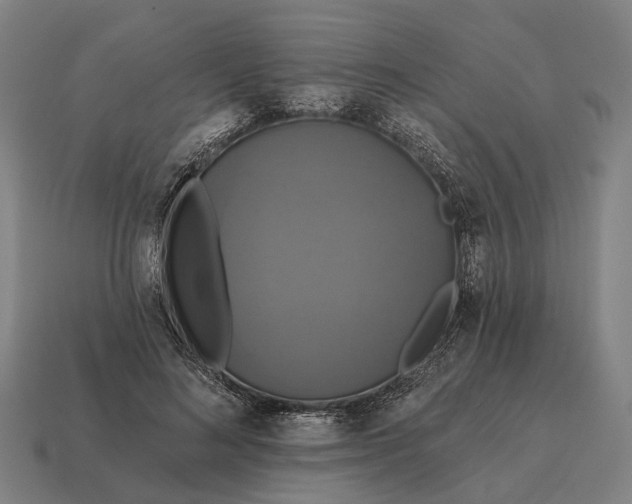 X0000115090692200911101524
