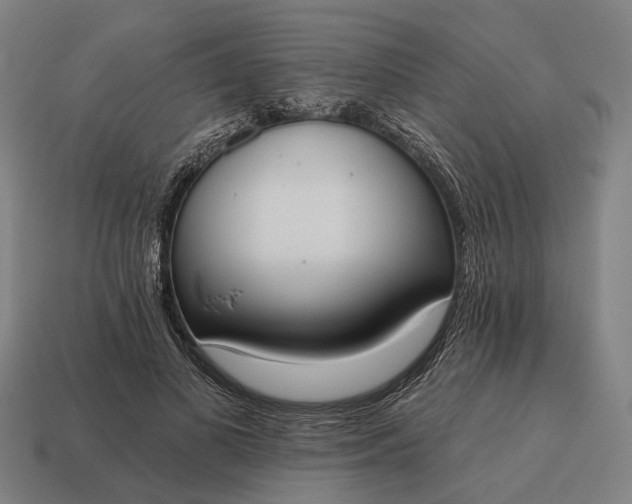 X0000115090693200911101524