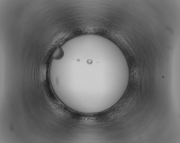 X0000115090694200911101524
