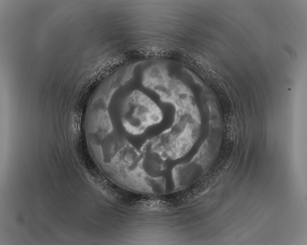 X0000115090695200911101524