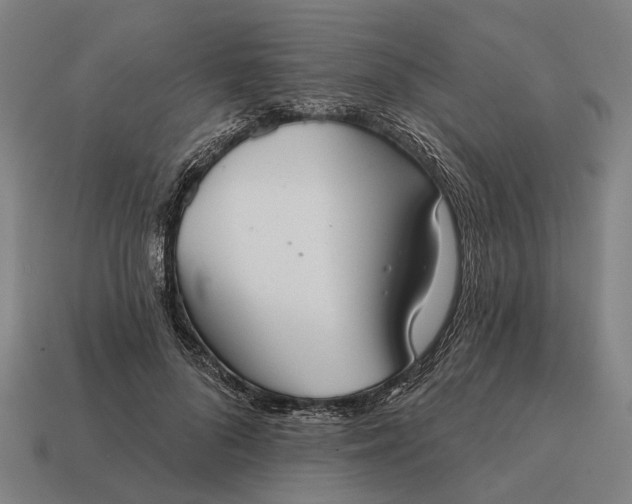 X0000115090696200911101524