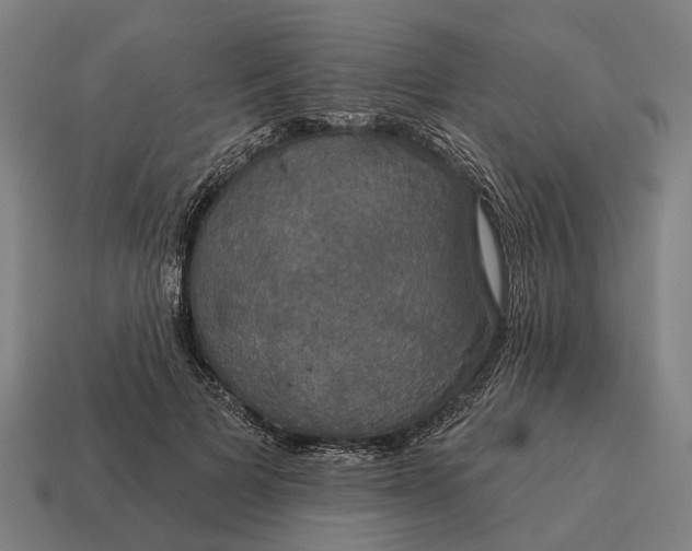 X0000115090697200911101524
