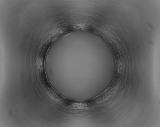 X0000115090699200911101524