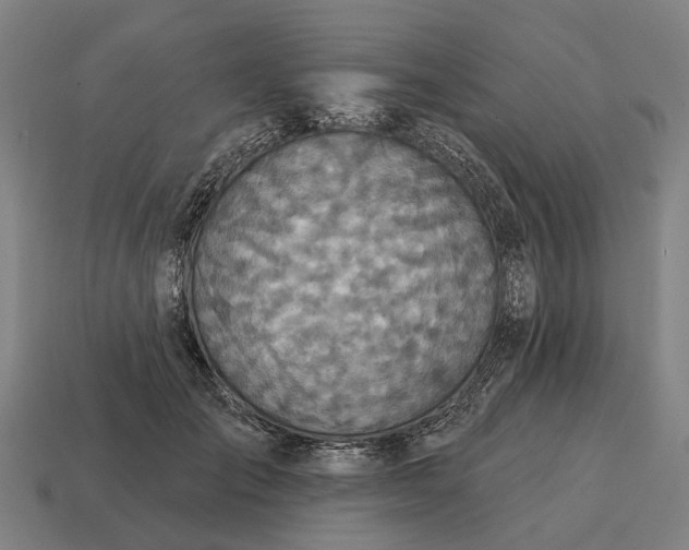 X0000115090701200911101524