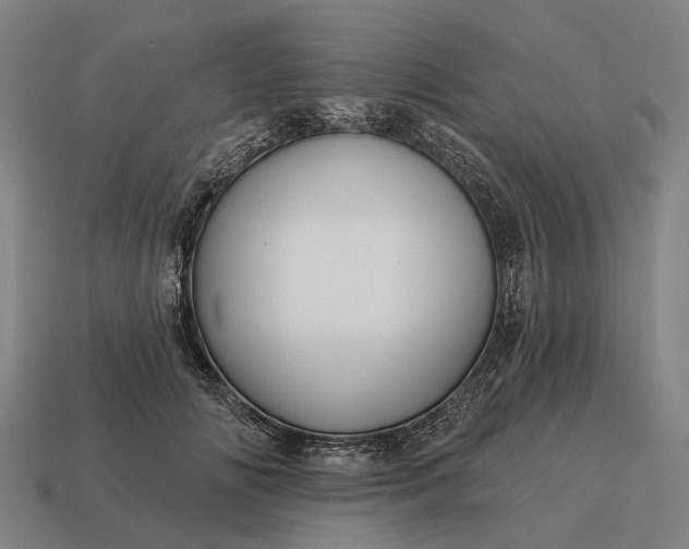 X0000115090702200911101524