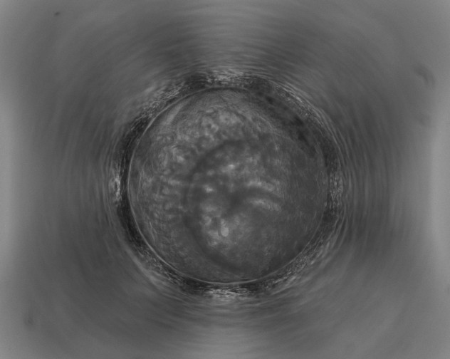 X0000115090703200911101524