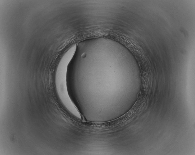 X0000115090704200911101524