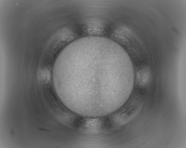X0000115090705200911101524