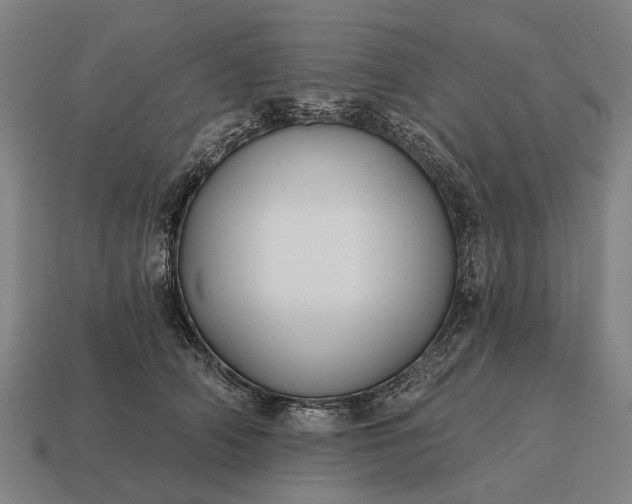 X0000115090706200911101524