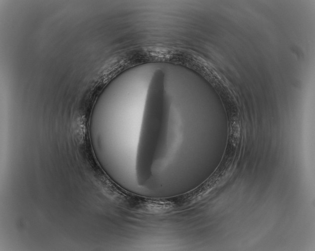 X0000115090707200911101524