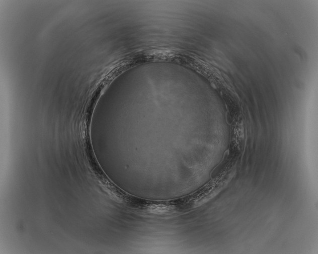 X0000115090708200911101524
