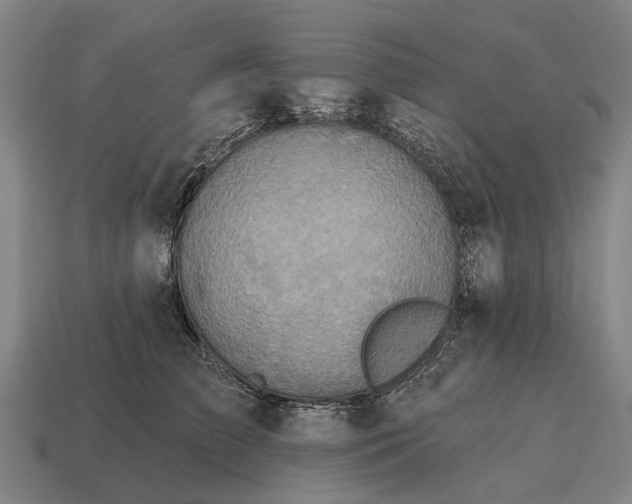 X0000115090709200911101524