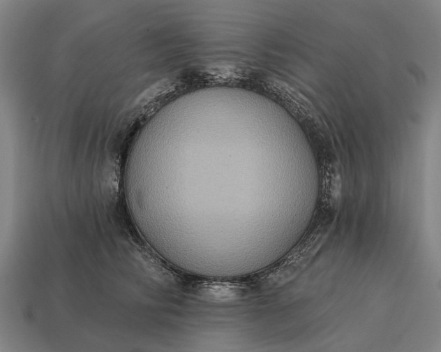 X0000115090710200911101524