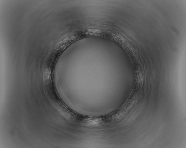 X0000115090711200911101524