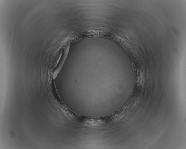 X0000115090712200911101524