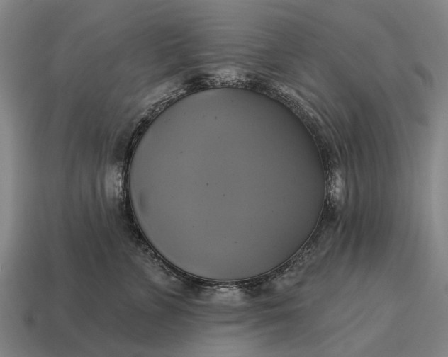 X0000115090715200911101524
