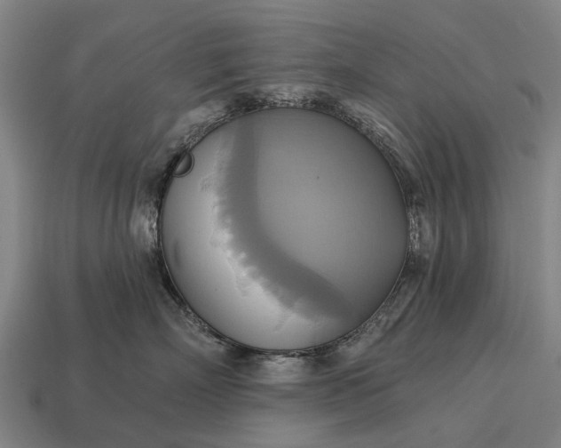 X0000115090718200911101524