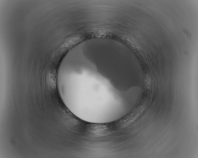 X0000115090719200911101524