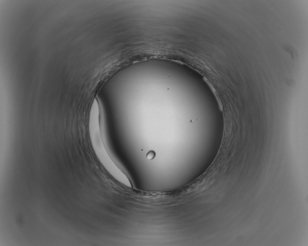 X0000115090720200911101524
