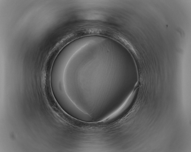 X0000115090722200911101523
