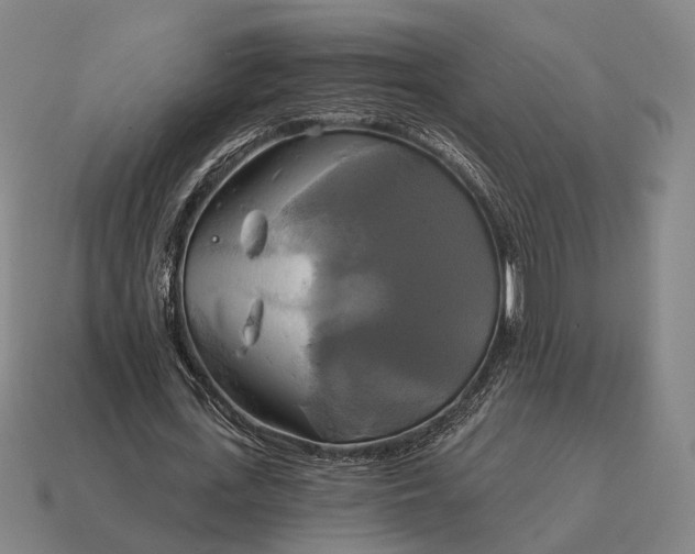 X0000115090723200911101523