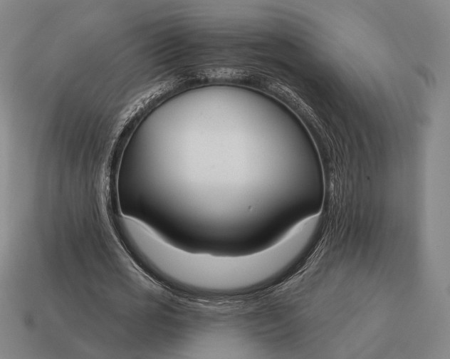 X0000115090725200911101523