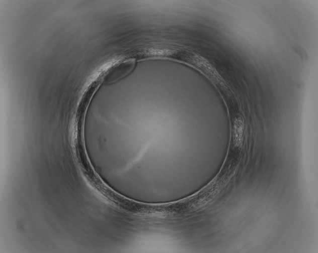 X0000115090726200911101523