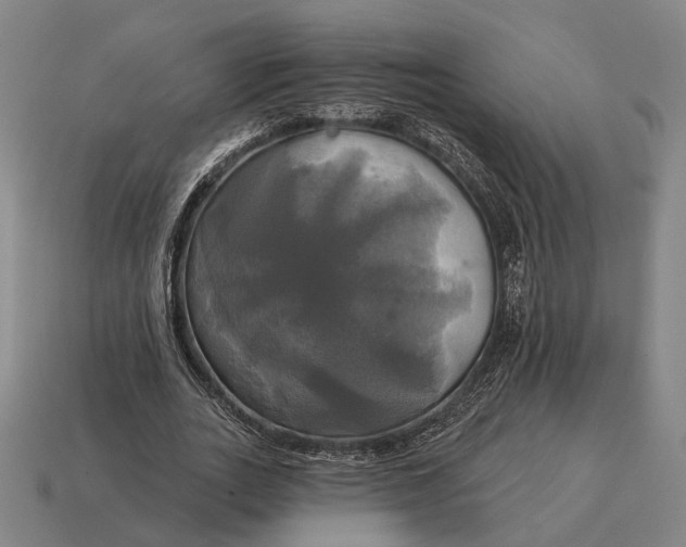 X0000115090727200911101523