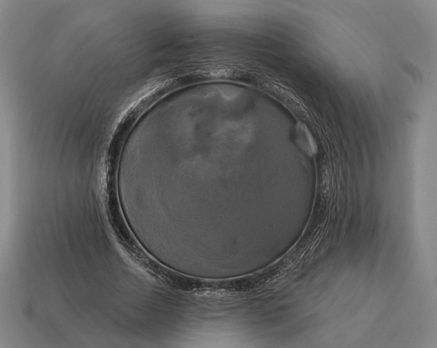 X0000115090730200911101523