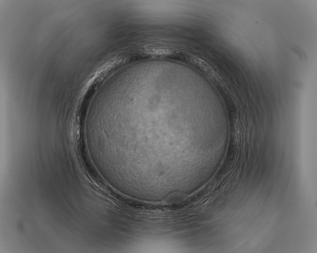X0000115090731200911101523