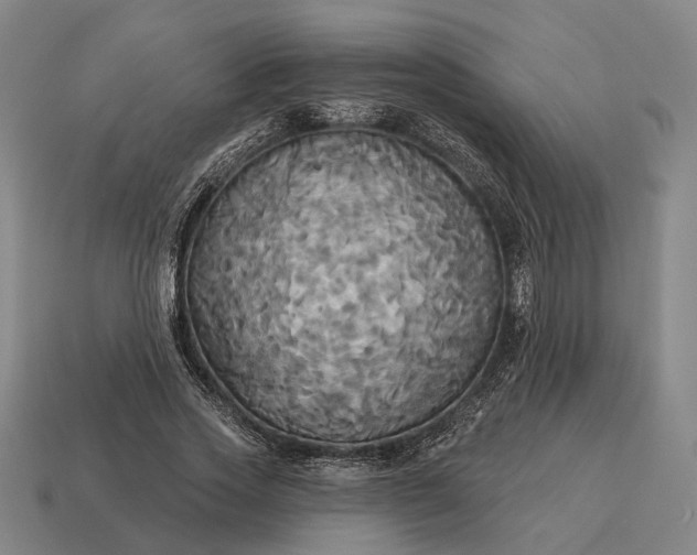 X0000115090733200911101523