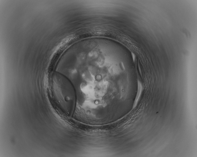 X0000115090734200911101523