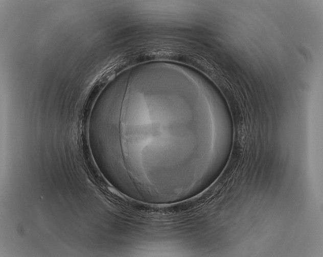 X0000115090735200911101523